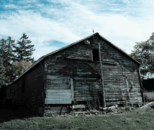 WOODSHED-300x254