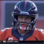 Wes_Welker_big_helmet