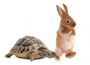 tortoise_hare