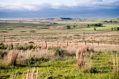 Texas_prairie
